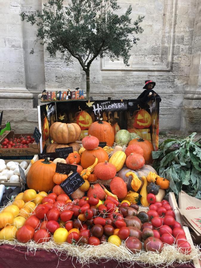 Un Coin De Luberon Apartman L'Isle-sur-la-Sorgue Kültér fotó
