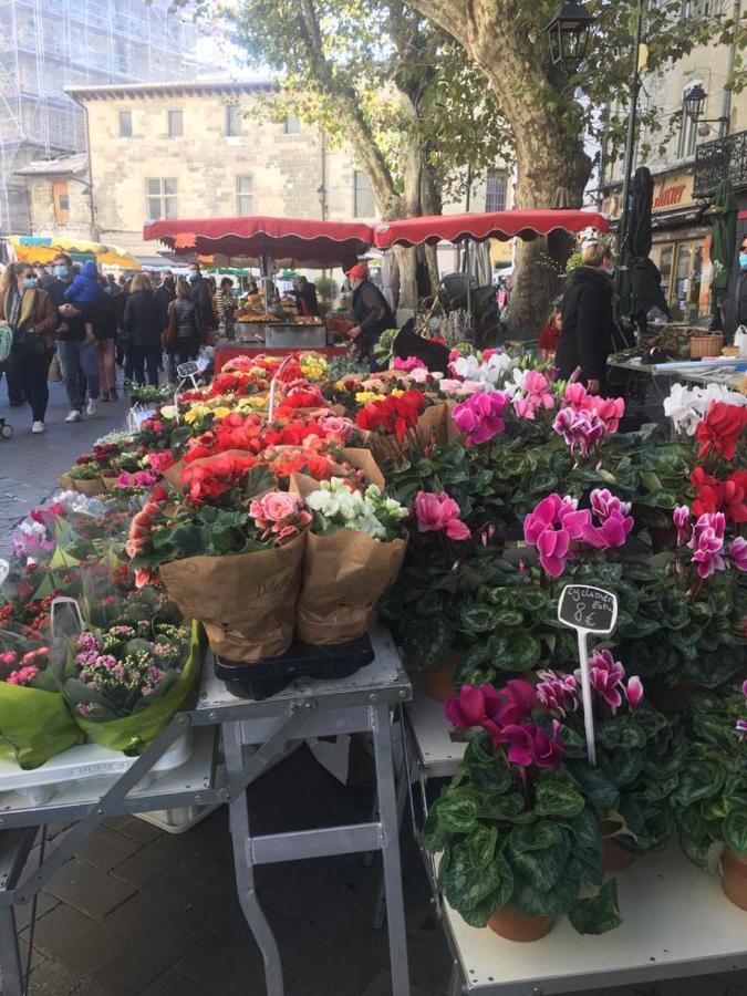 Un Coin De Luberon Apartman L'Isle-sur-la-Sorgue Kültér fotó